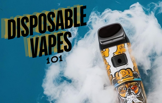 Disposable Vapes 101: A Beginner's Comprehensive Guide For On-The-Go Vaping